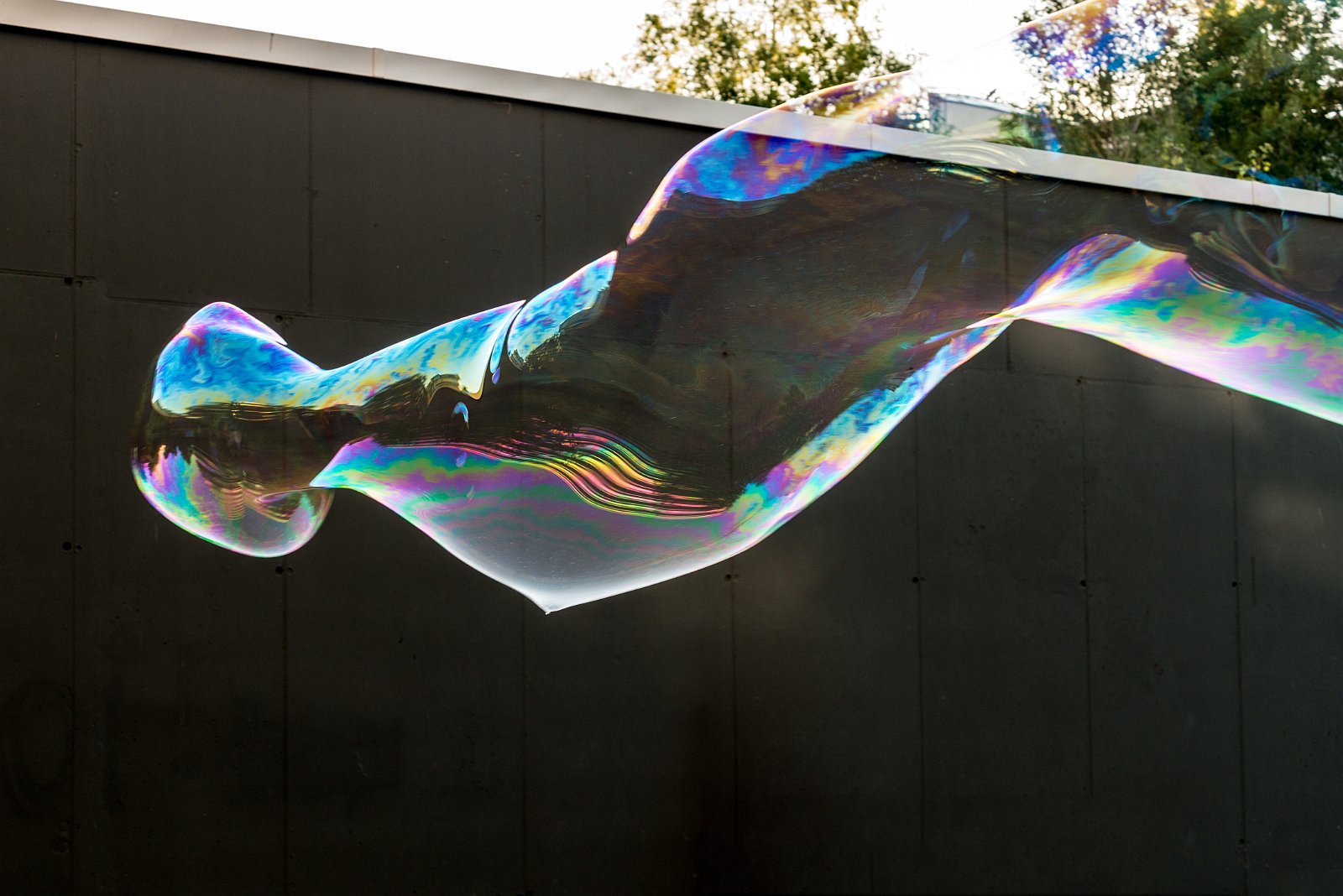 VSI.ASAI | 75-Jahr Jubiläumsfest | Restaurant Daizy, Binz, Zürich 