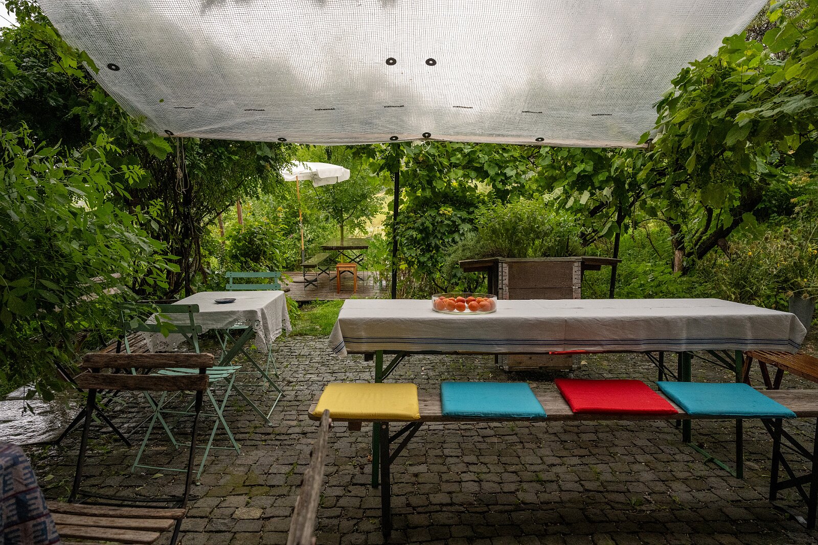 Besuch bei Hansruedi Vontobel, Herrliberg 