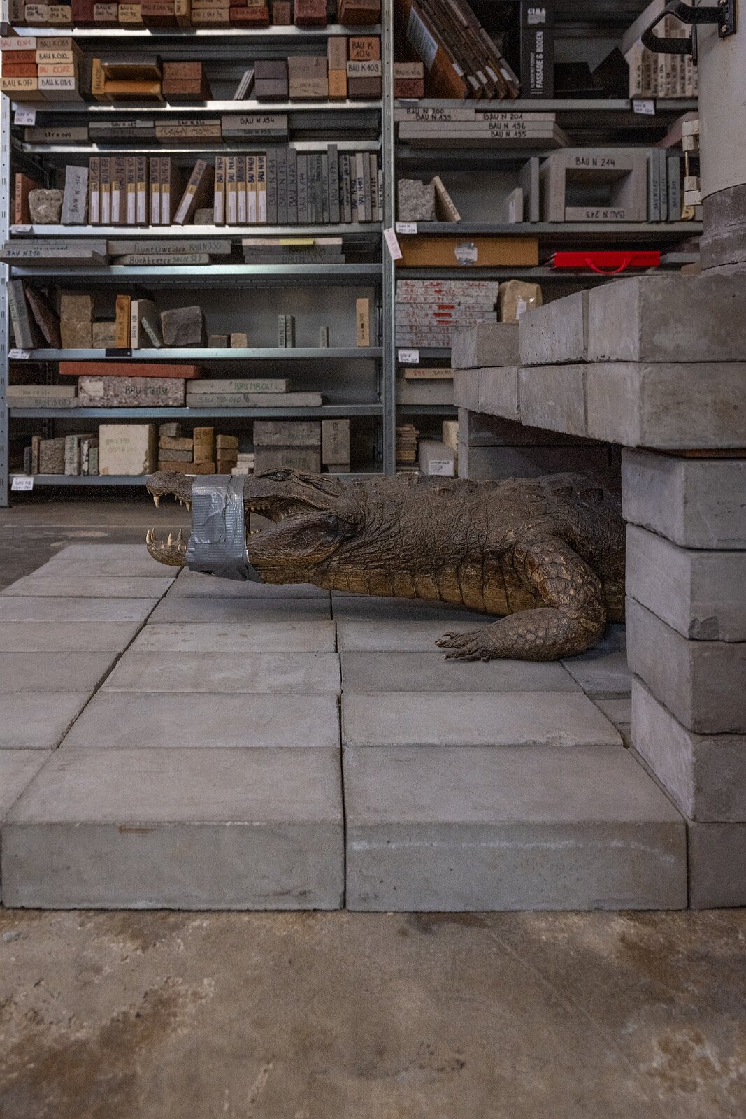 AiI-S Mitgliederversammlung Besichtigung Werk-Bibliothek von Lucius und Annemarie Burckhardt-Wackernagel im Case Studio VOGT, Zürich