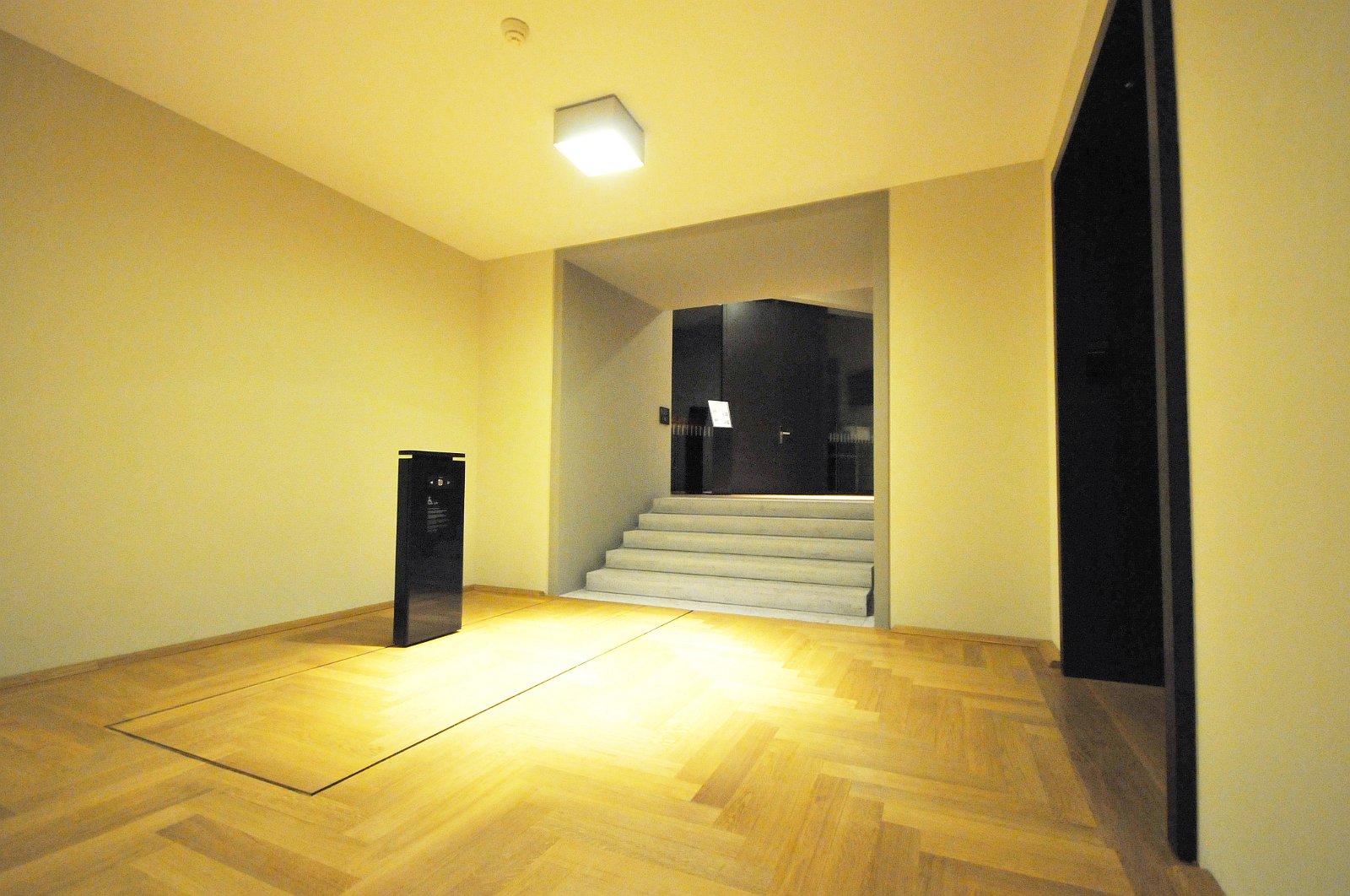 VSI.ASAI. Bundeshausbesichtigung 06. Februar 2010 