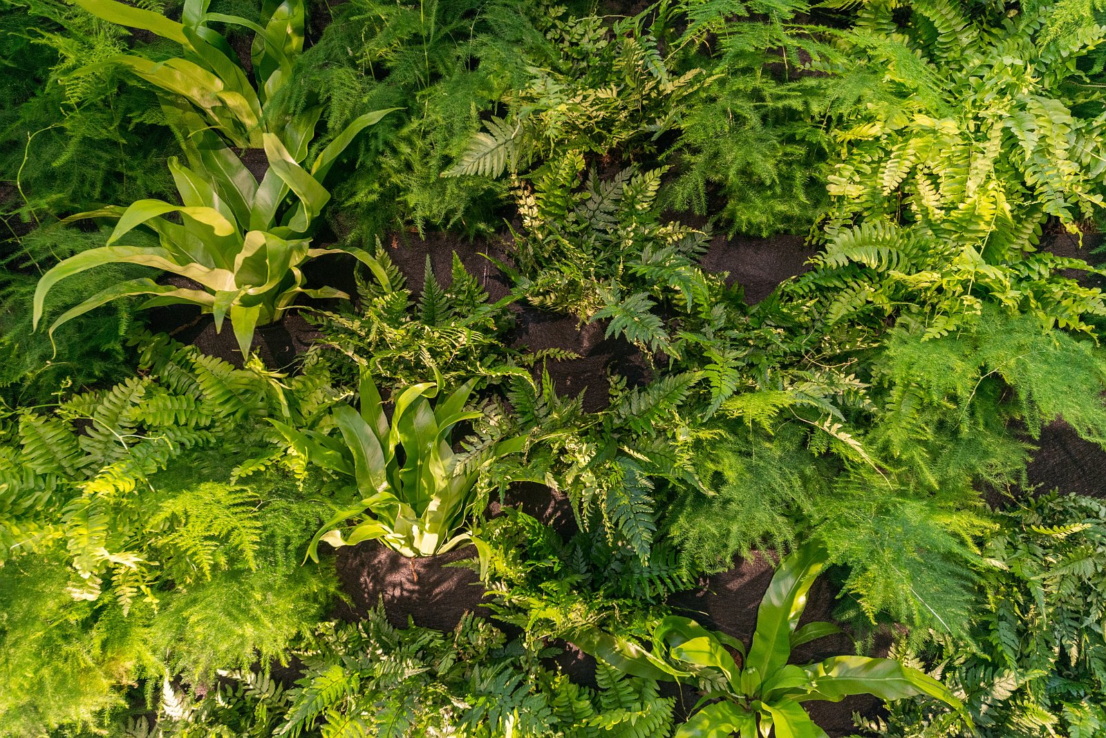 Designers' Saturday 2016 