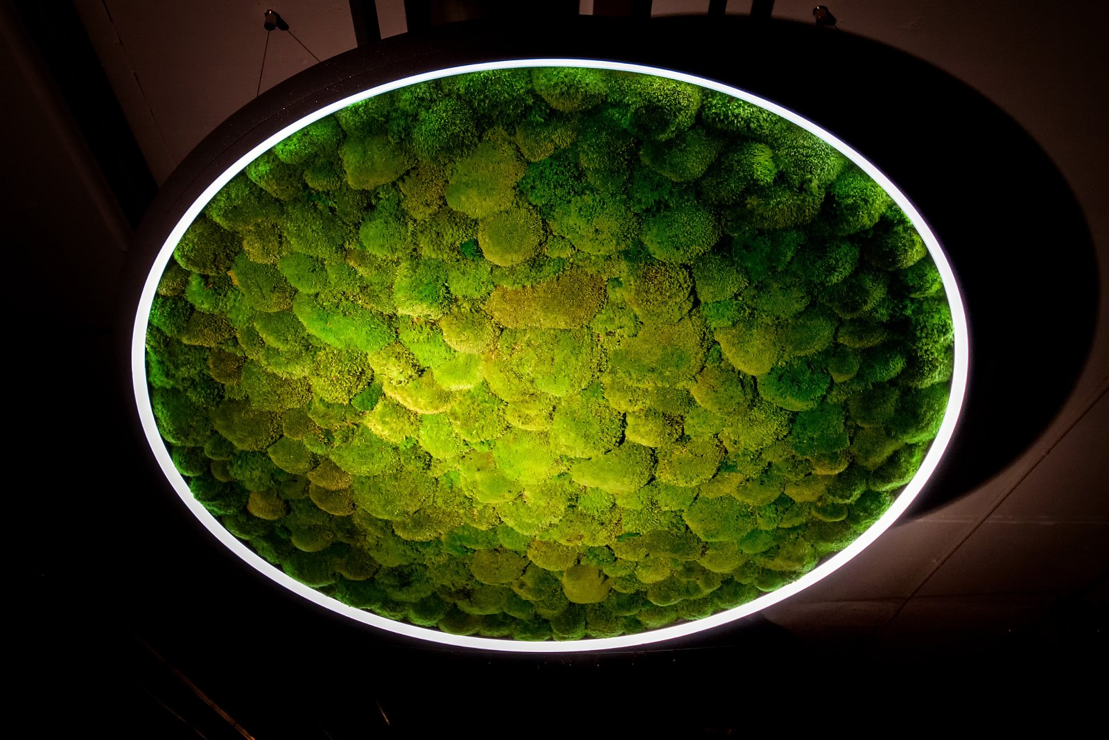 Designer Saturday 2014 | Langenthal 