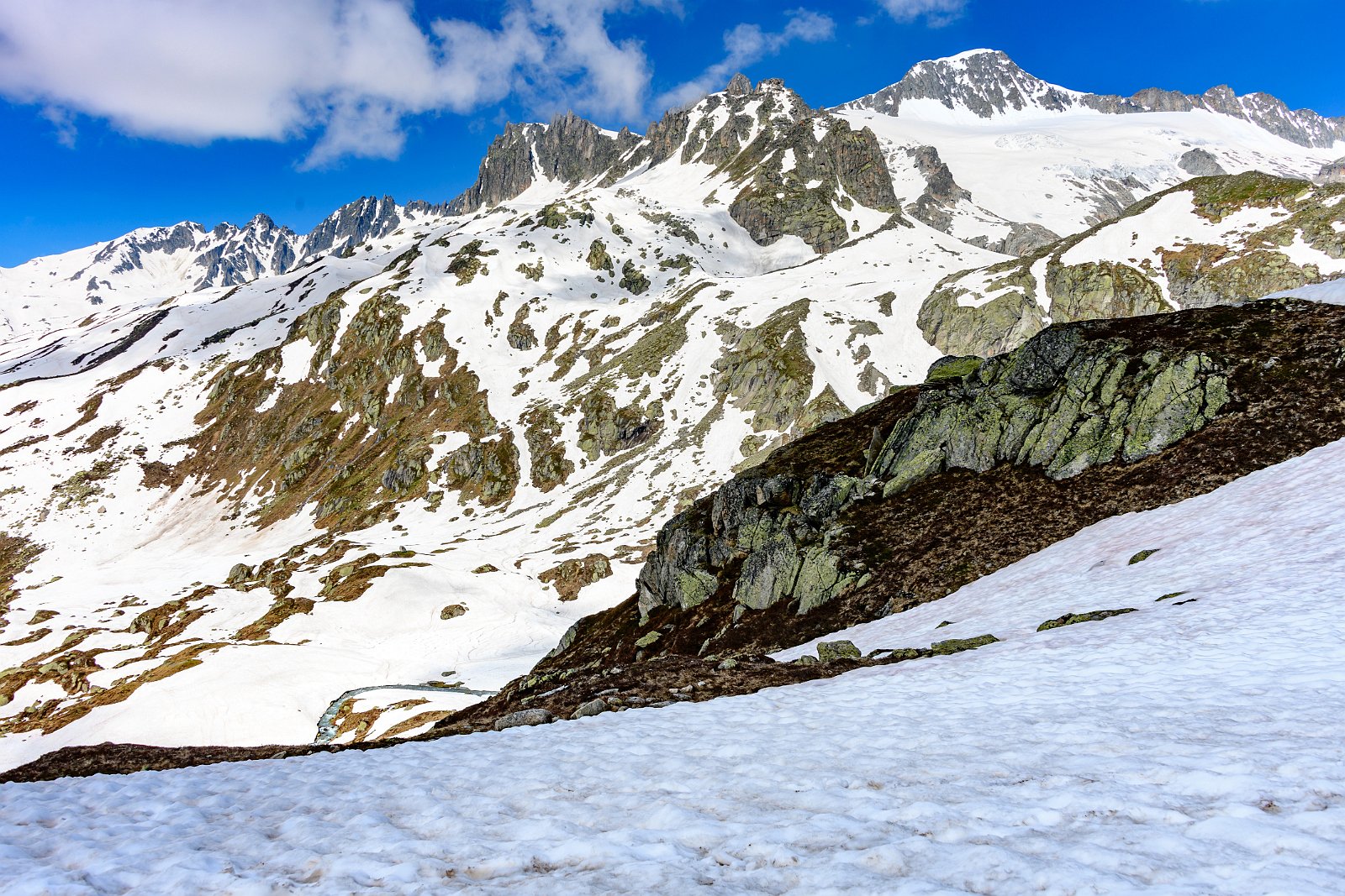 VSI.ASAI - Generalversammlung 21.-23. Juni 2019 Aufstieg im Schnee von Tiefenbach zur Albert-Heim-Hütte auf 2543 m.ü.M