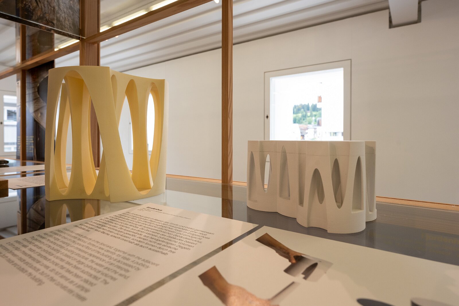 VSI.ASAI. Generalversammlung Flims Das gelbe Haus in Flims, Architekt Valerio Oligiati