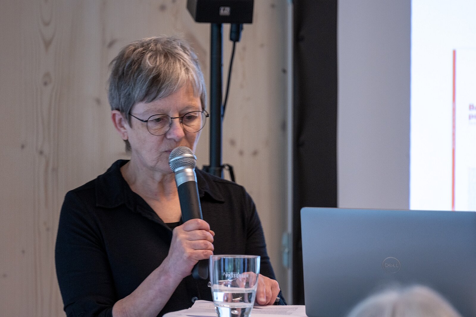 VSI.ASAI. Generalversammlung Flims 