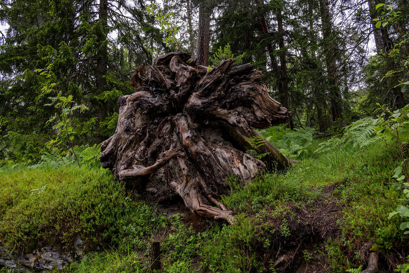 VSI.ASAI. Generalversammlung Flims Wanderung zum Caumasee und zur Aussichtsplattform "il Spir".