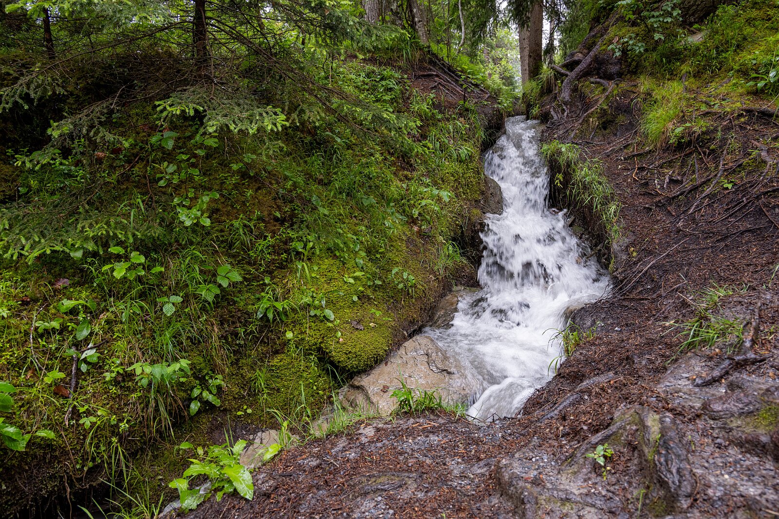 VSI.ASAI. Generalversammlung Flims Wanderung zum Caumasee und zur Aussichtsplattform "il Spir".