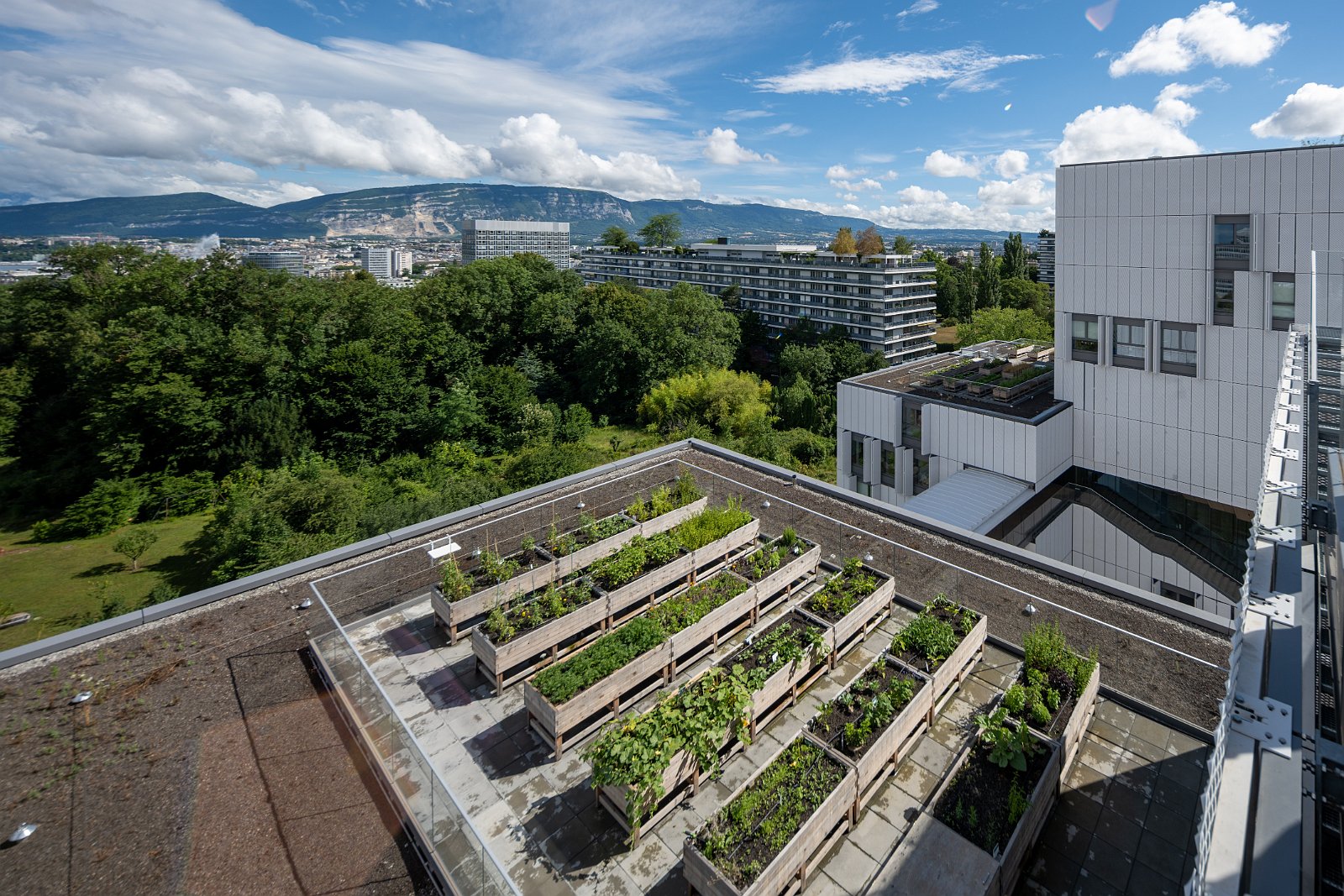 VSI.ASAI. - Generalversammlung in Lausanne, Geneva 24./25.06.2022 GRAND MORILLON von Kengo Kuma associates Tokyo und CCHE Lausanne