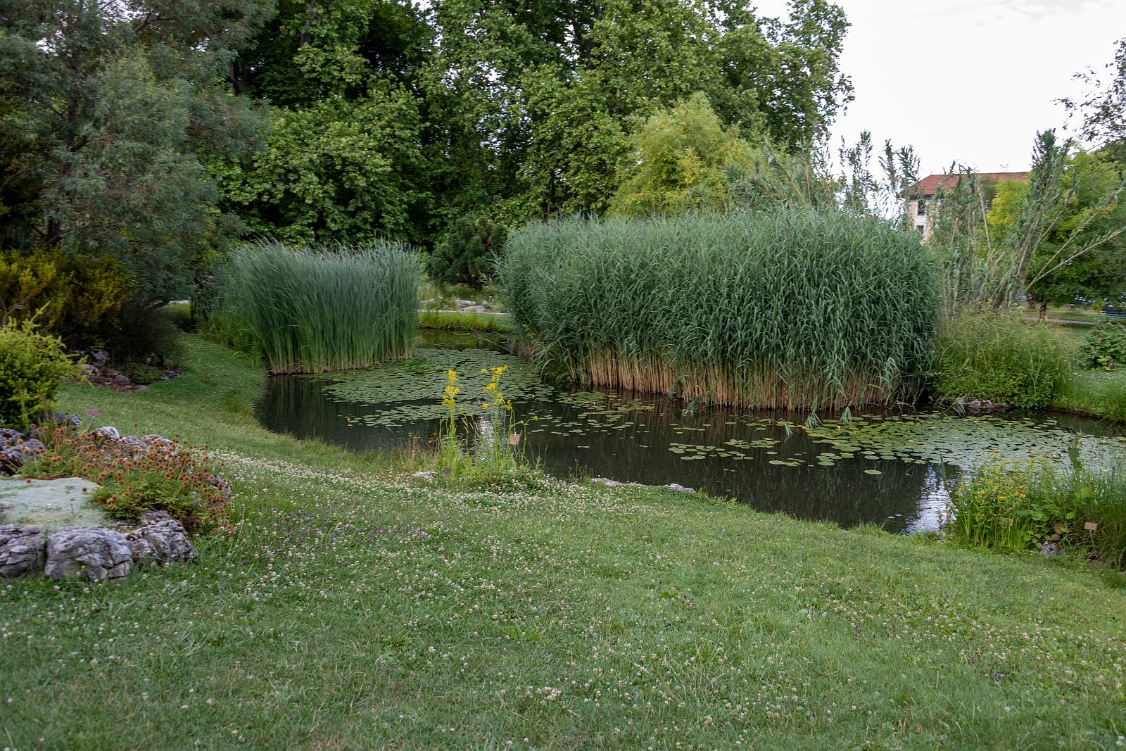 VSI.ASAI. - Generalversammlung in Lausanne, Geneva 24./25.06.2022 Jardin botanique