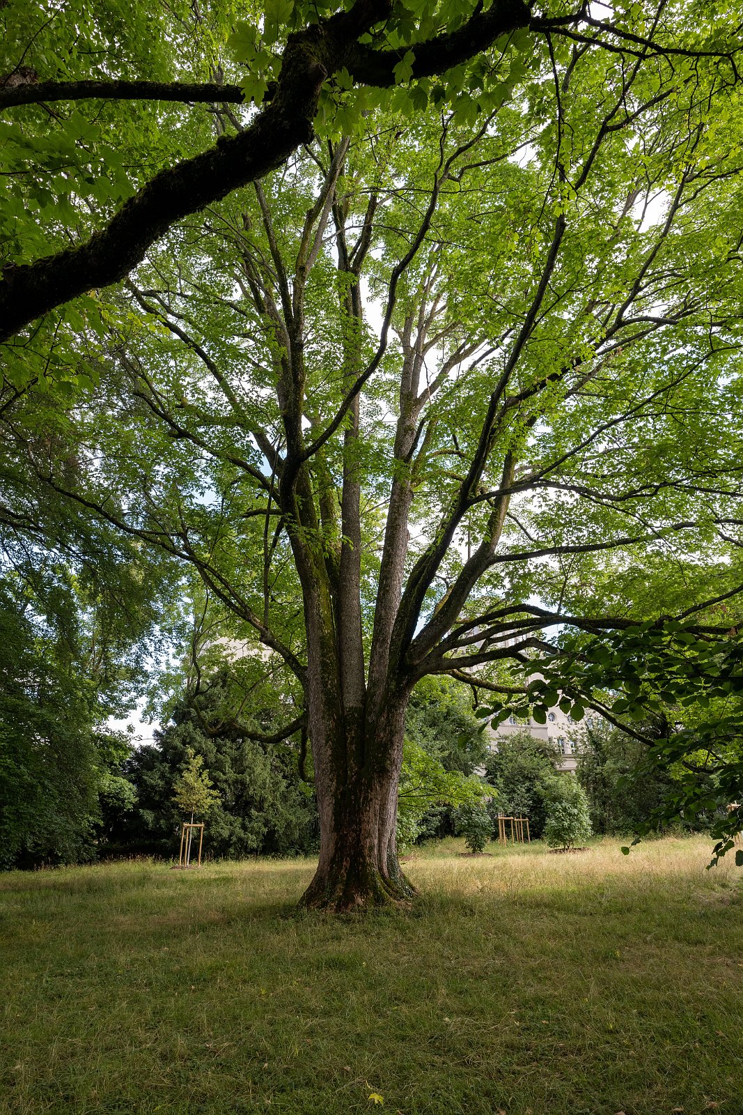 VSI.ASAI. - Generalversammlung in Lausanne, Geneva 24./25.06.2022 Jardin botanique
