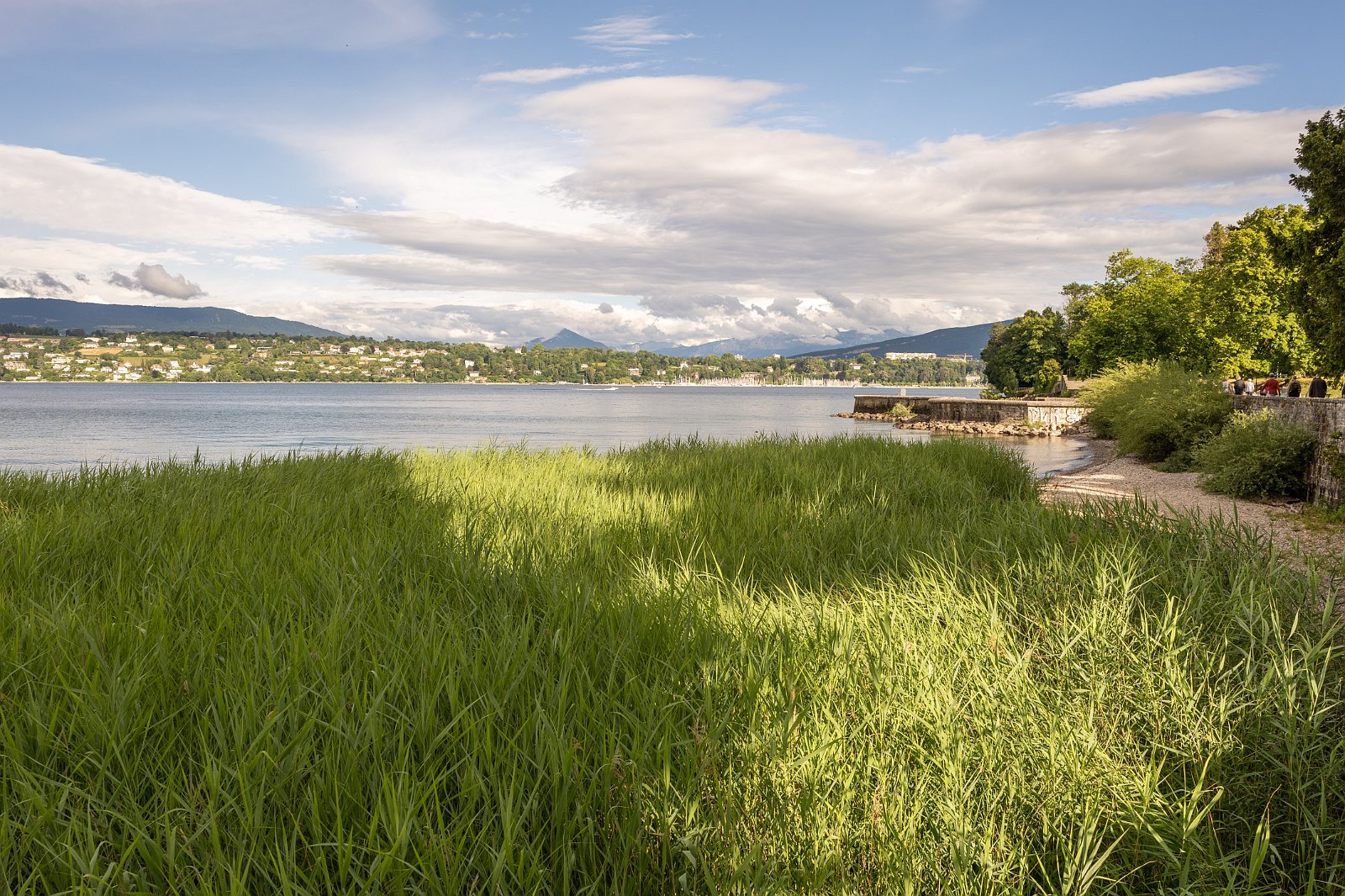 VSI.ASAI. - Generalversammlung in Lausanne, Geneva 24./25.06.2022 Jardin botanique