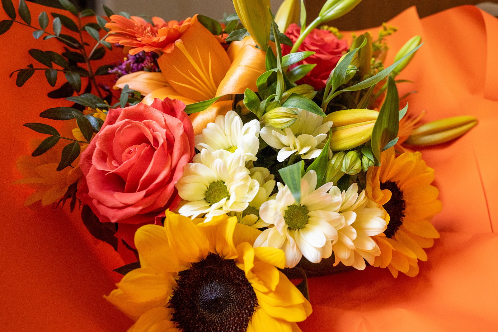 VSI.ASAI. - Generalversammlung in Lausanne, Geneva 24./25.06.2022 cfp arts - Centre Formation Professionelle Arts Rue Necker 2, 1201 Genève