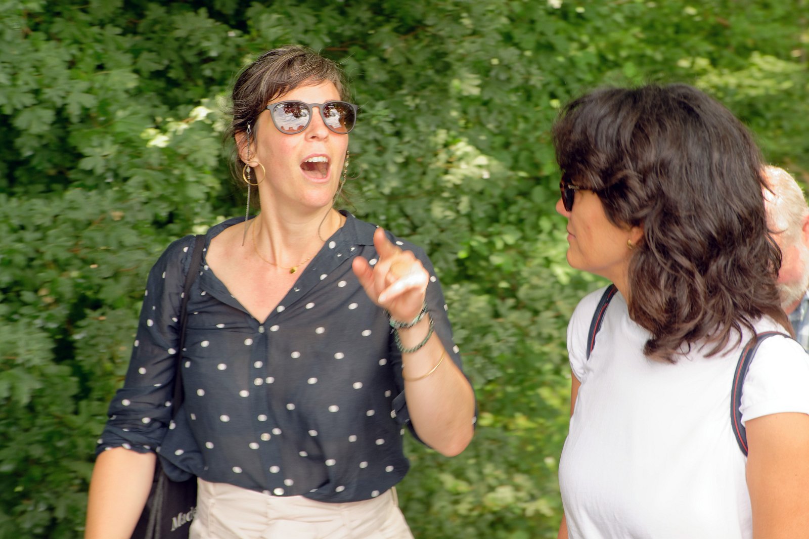 VSI.ASAI. - Generalversammlung in Lausanne, Geneva 26.06.2022 Wanderung durch die Rebberge