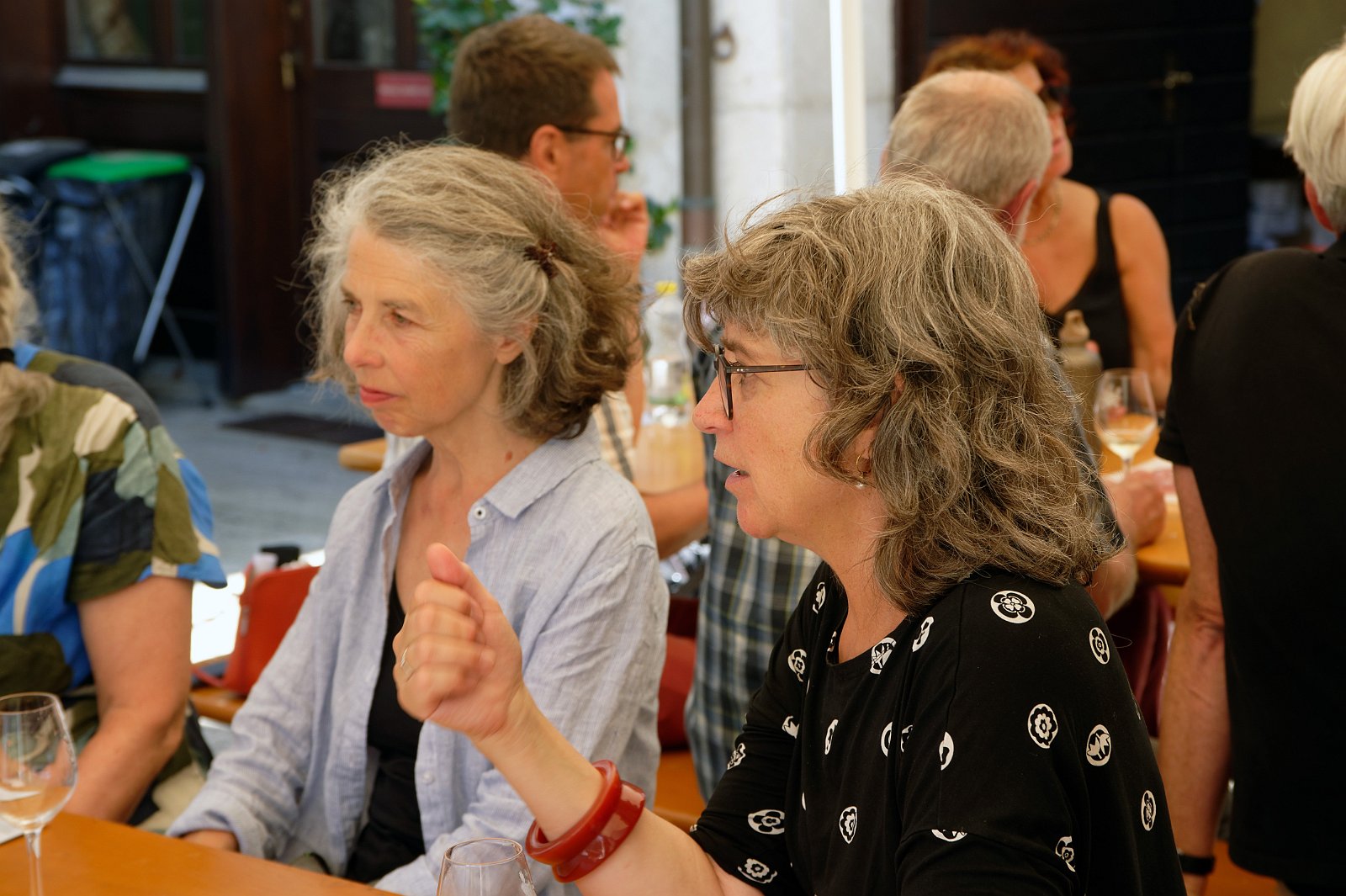 VSI.ASAI. - Generalversammlung in Lausanne, Geneva 26.06.2022 Wanderung durch die Rebberge