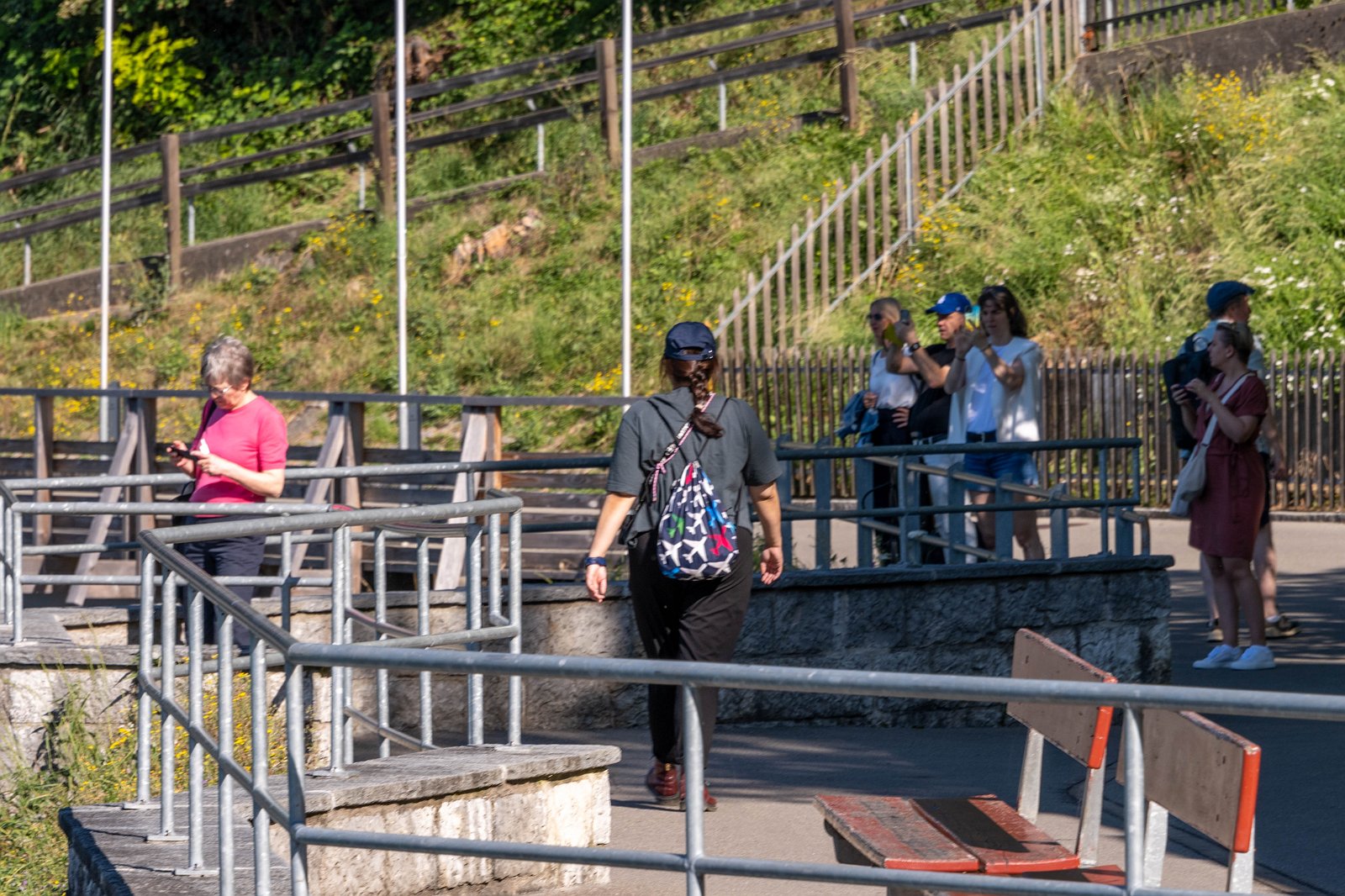 Schifffahrt auf dem Rhein 