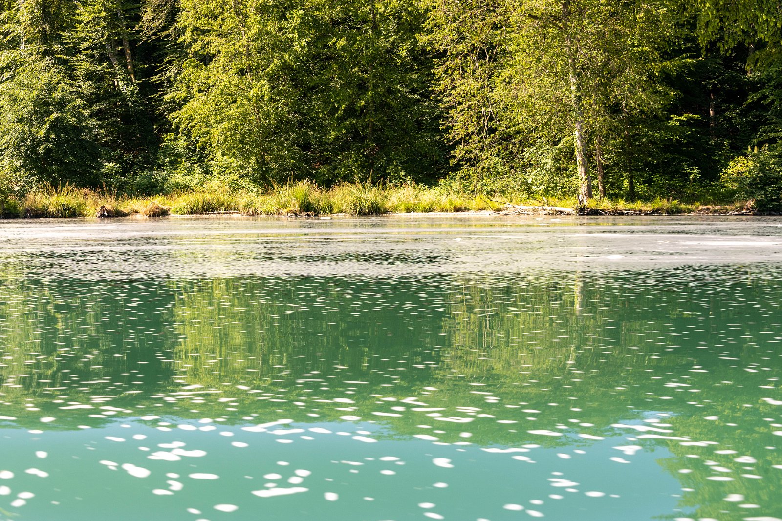 Schifffahrt auf dem Rhein 