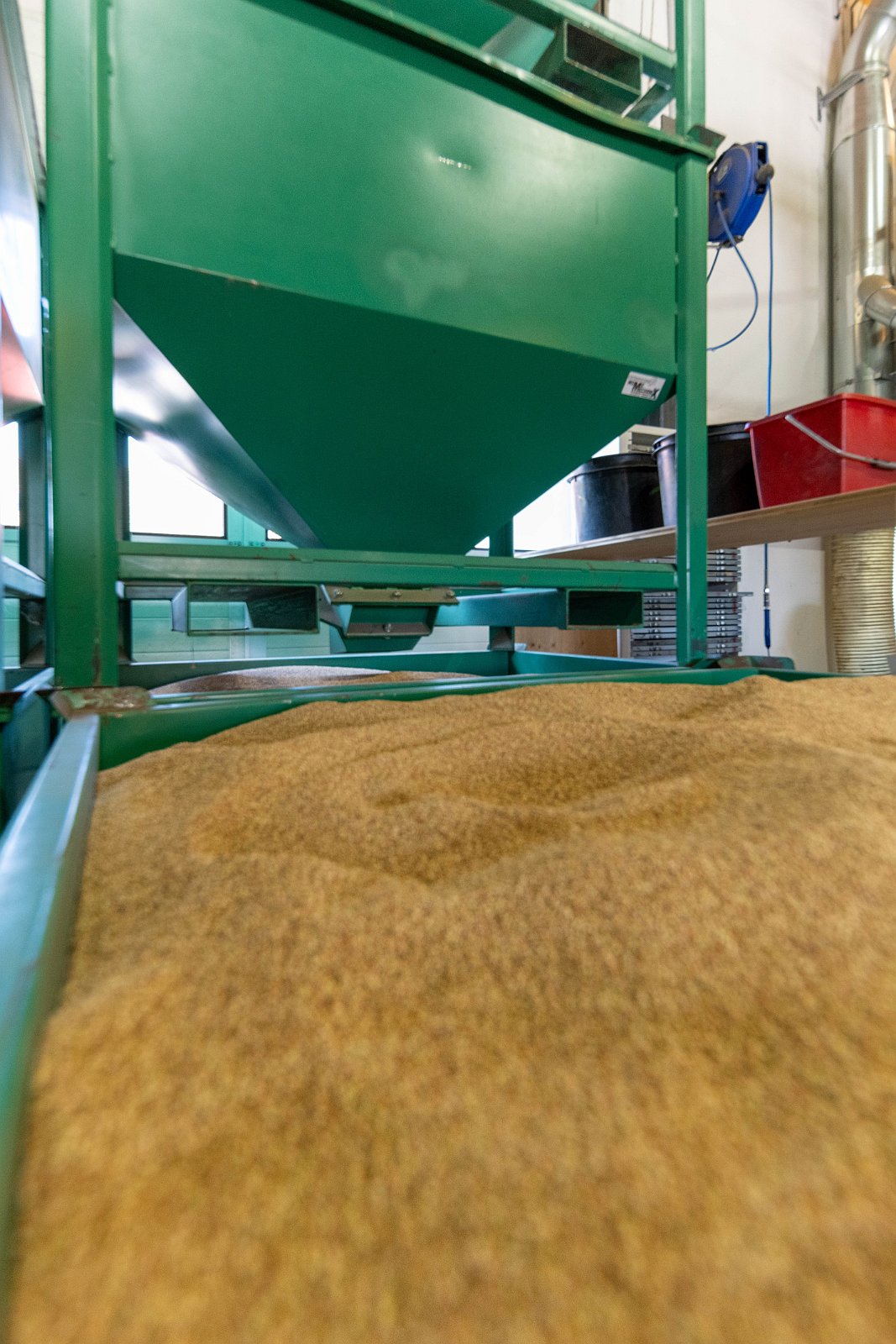 Stiftung Fintan & Sativa Rheinau AG 