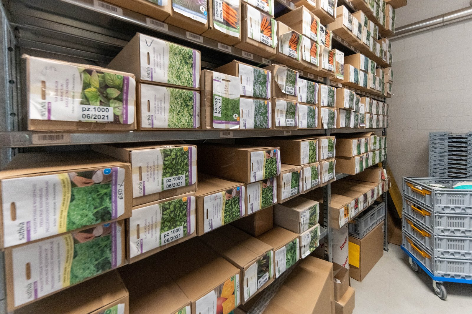 Stiftung Fintan & Sativa Rheinau AG 