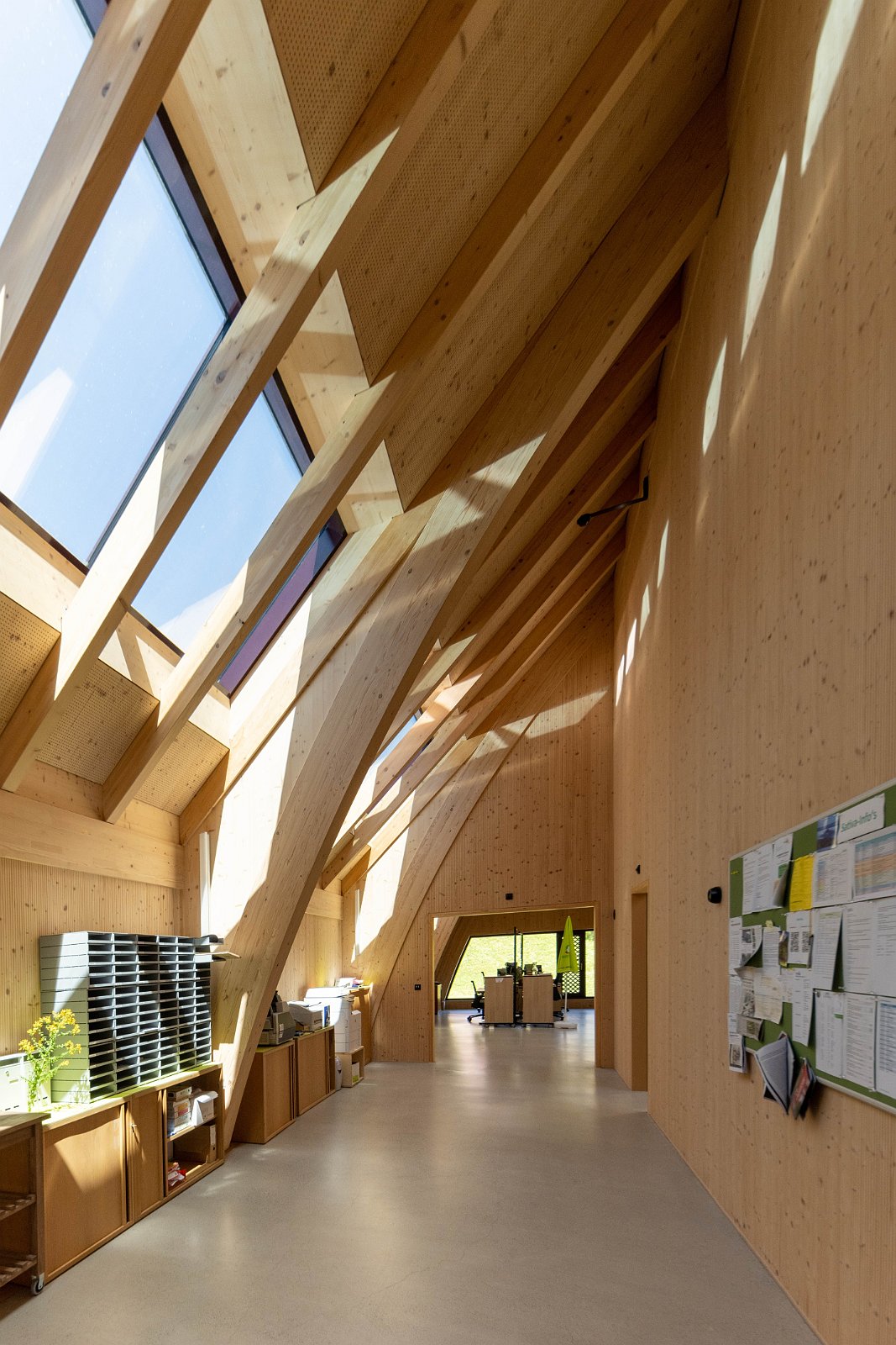 Stiftung Fintan & Sativa Rheinau AG 