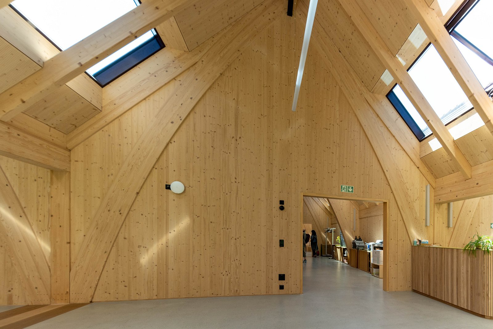 Stiftung Fintan & Sativa Rheinau AG 