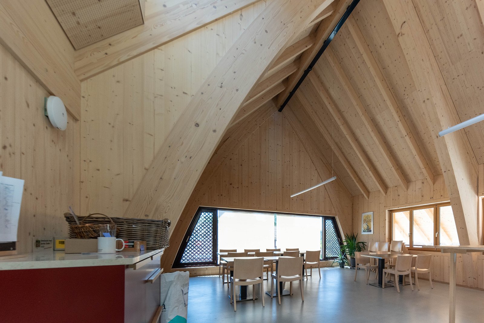 Stiftung Fintan & Sativa Rheinau AG 