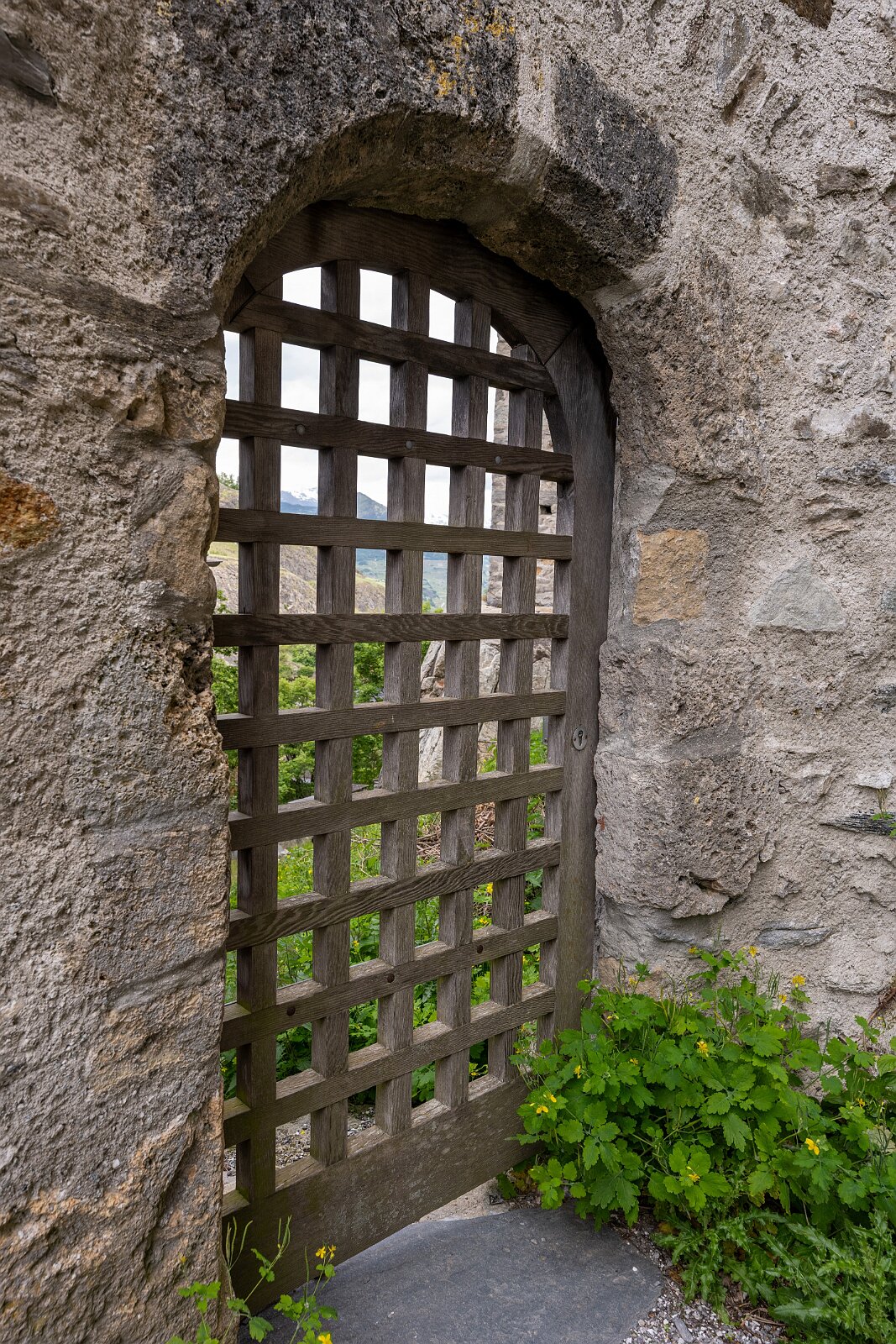 VSI.ASAI - Generalversammlung Mai 2025 