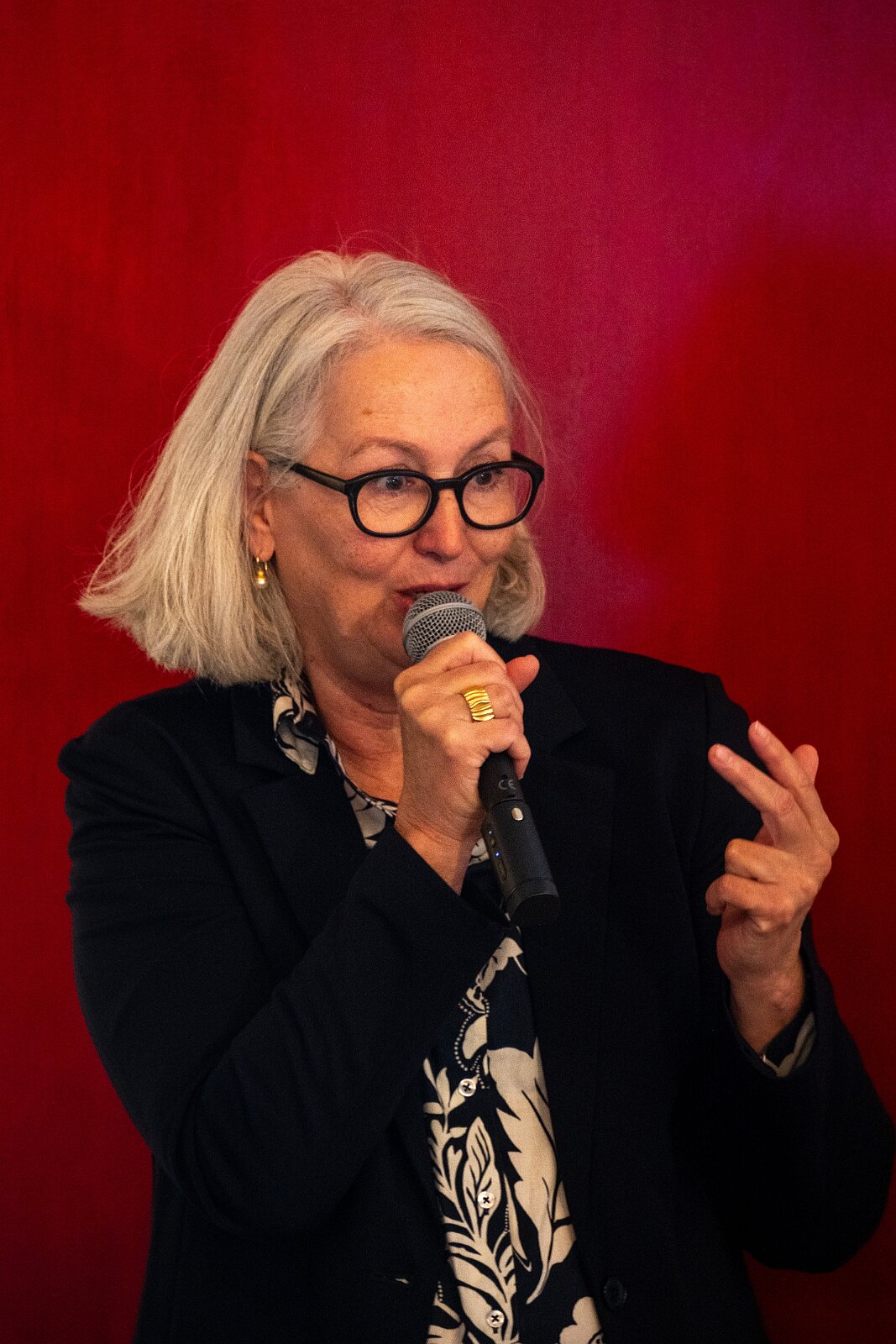 VSI.ASAI - Generalversammlung Mai 2025 