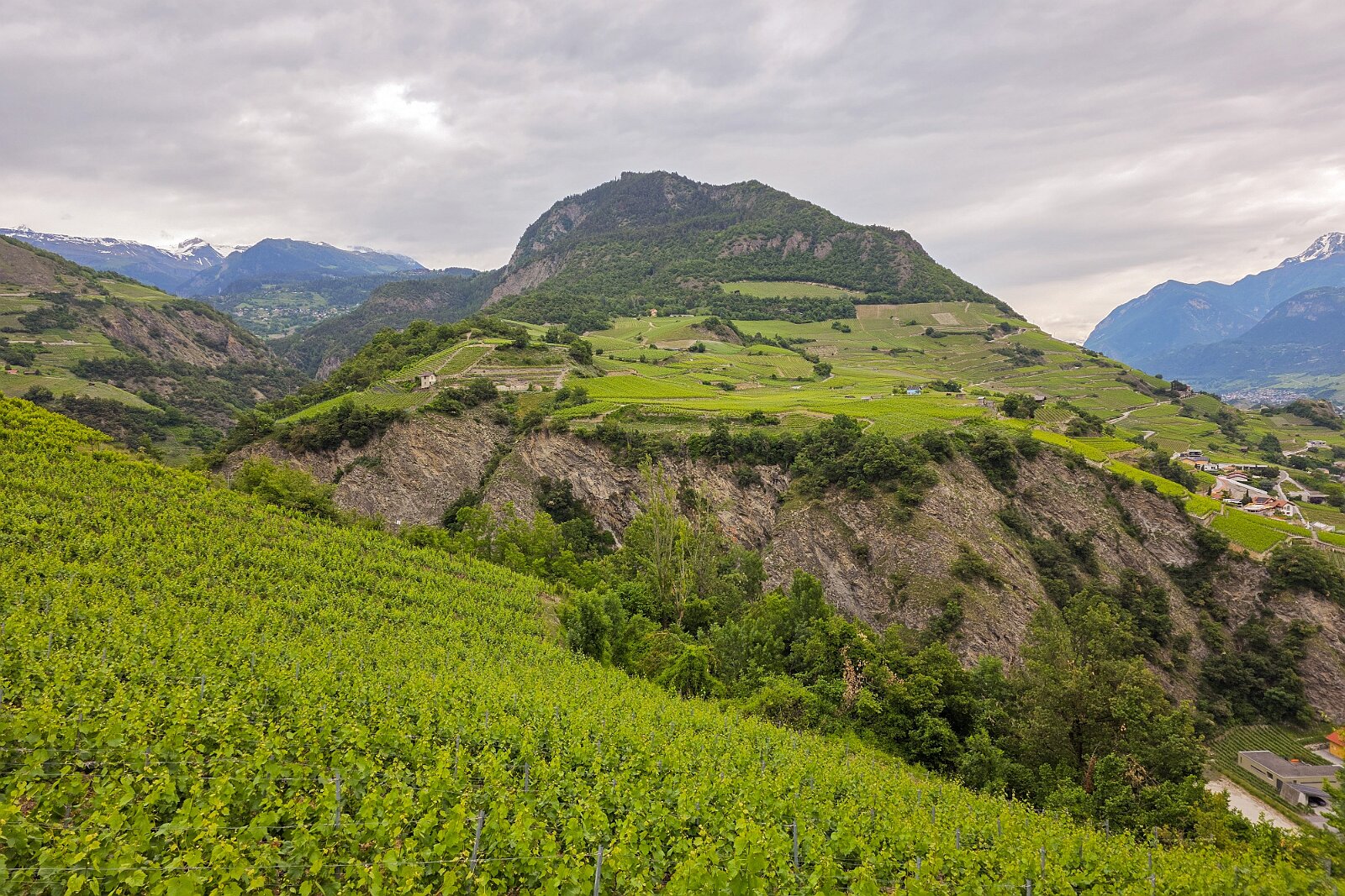 VSI.ASAI - Generalversammlung Mai 2025 