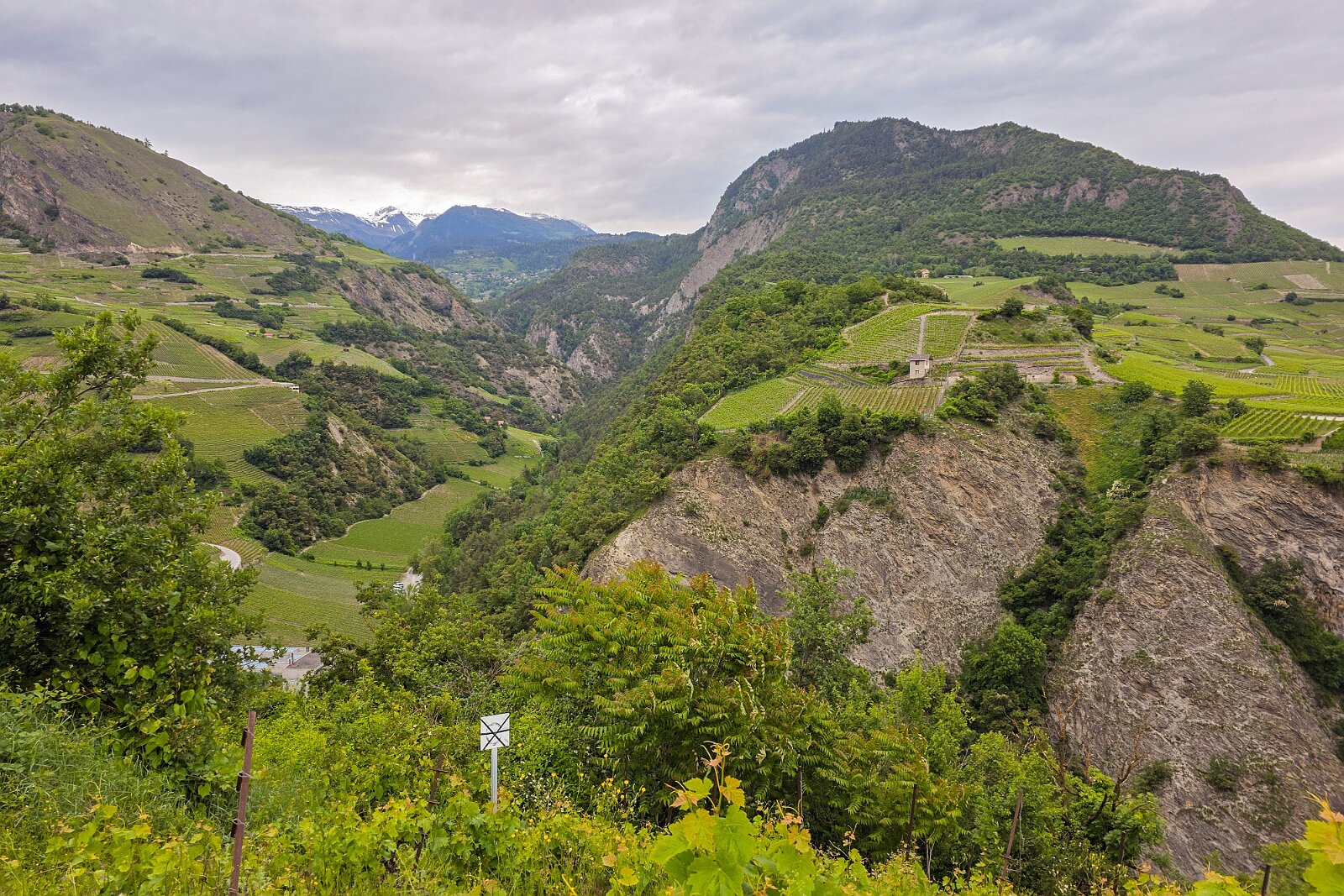 VSI.ASAI - Generalversammlung Mai 2025 