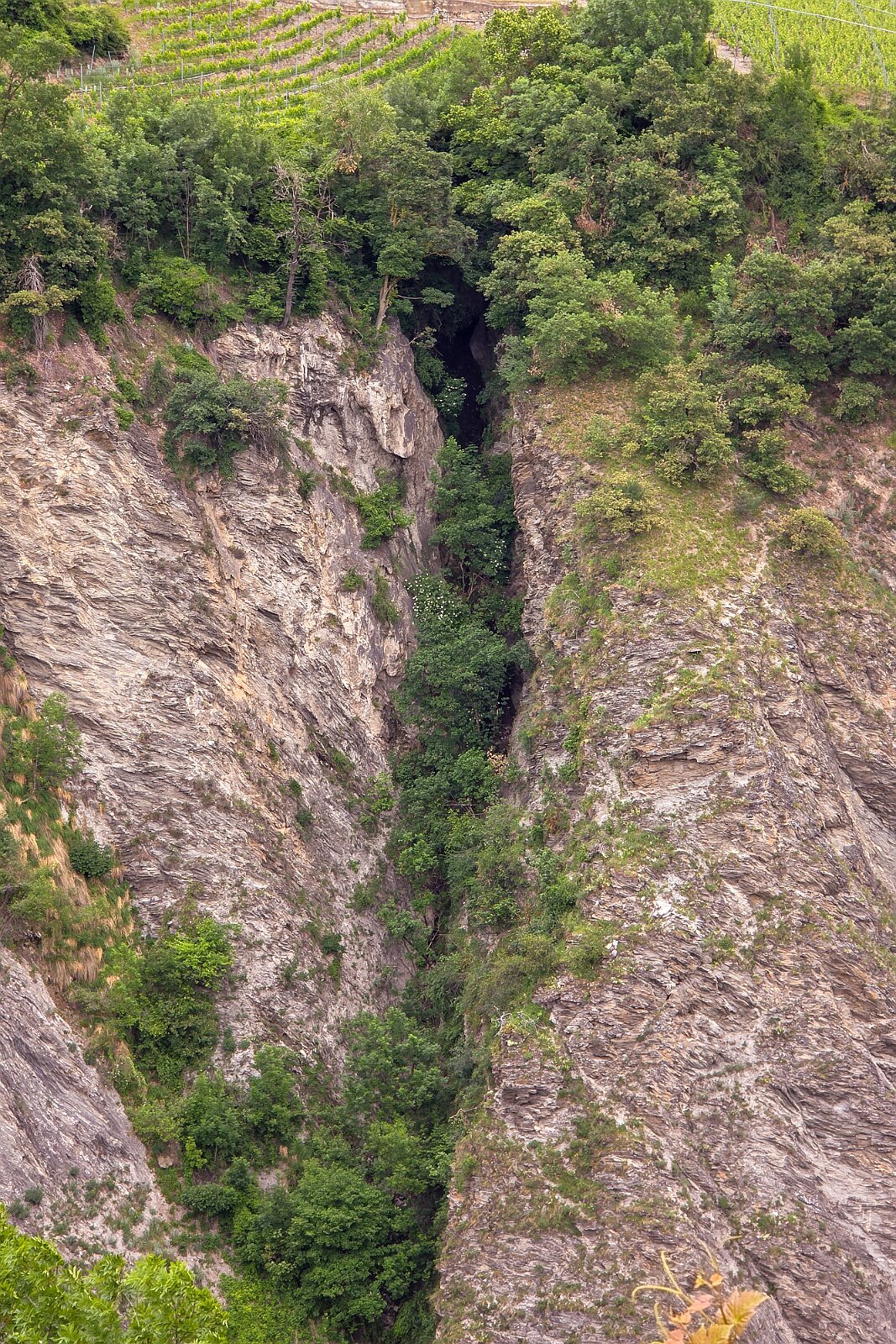 VSI.ASAI - Generalversammlung Mai 2025 