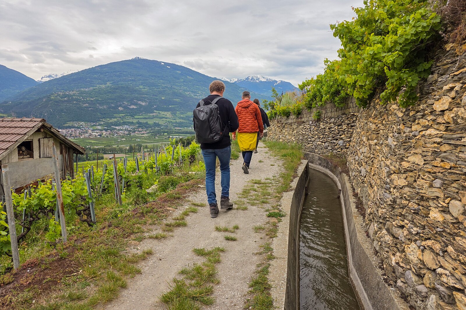 VSI.ASAI - Generalversammlung Mai 2025 