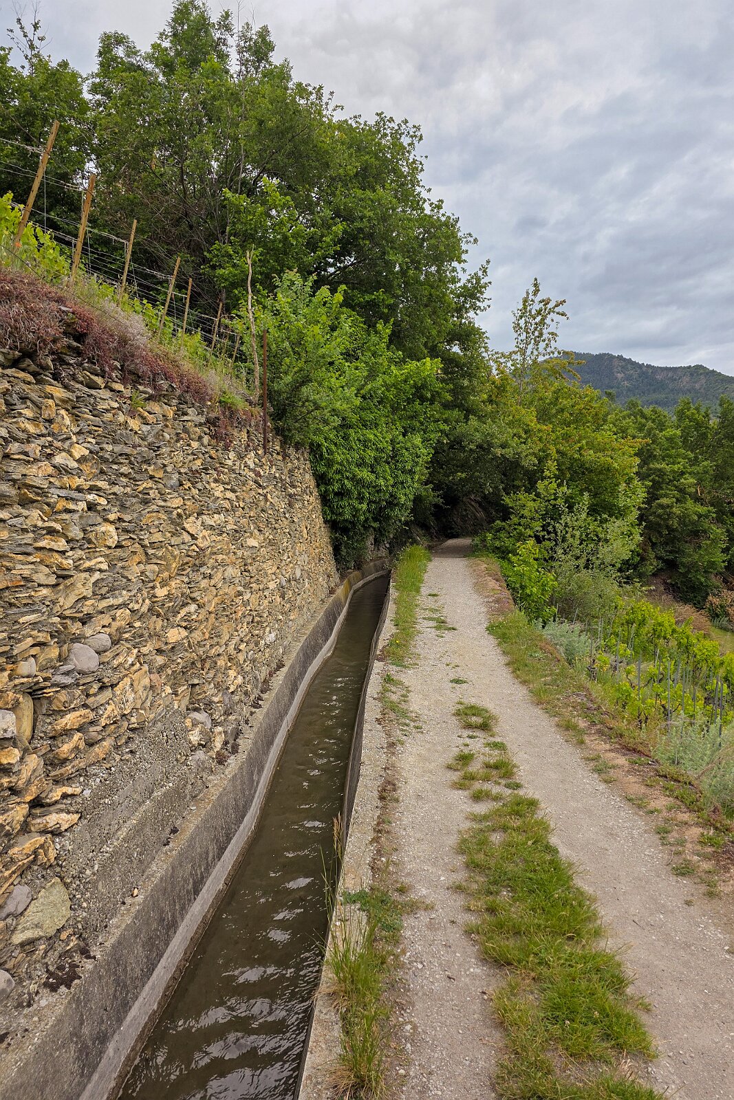 VSI.ASAI - Generalversammlung Mai 2025 