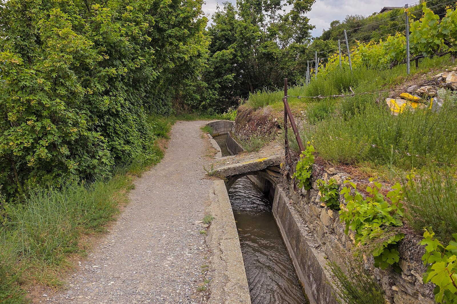 VSI.ASAI - Generalversammlung Mai 2025 