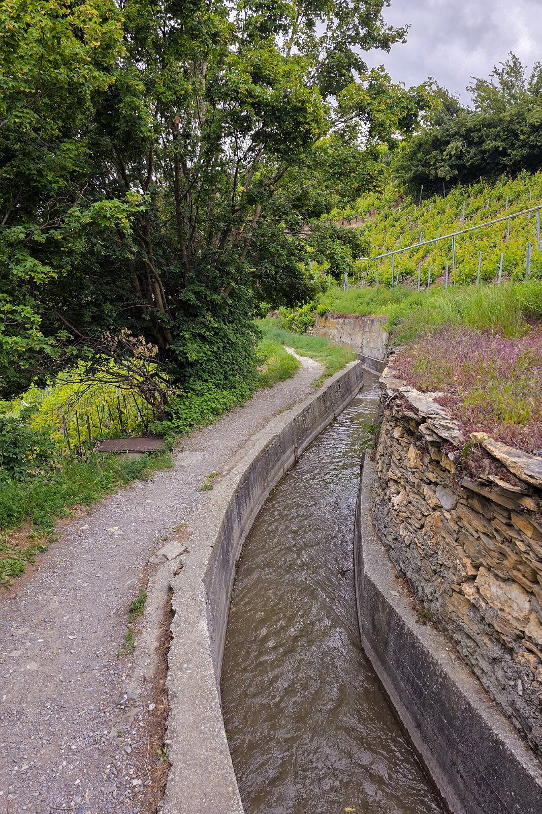 VSI.ASAI - Generalversammlung Mai 2025 