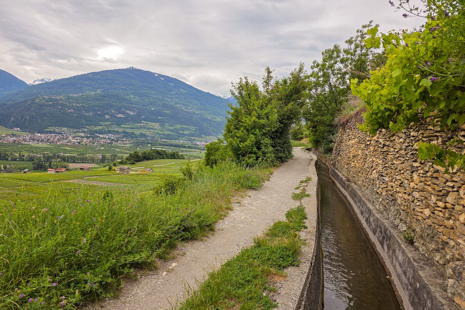 VSI.ASAI - Generalversammlung Mai 2025 