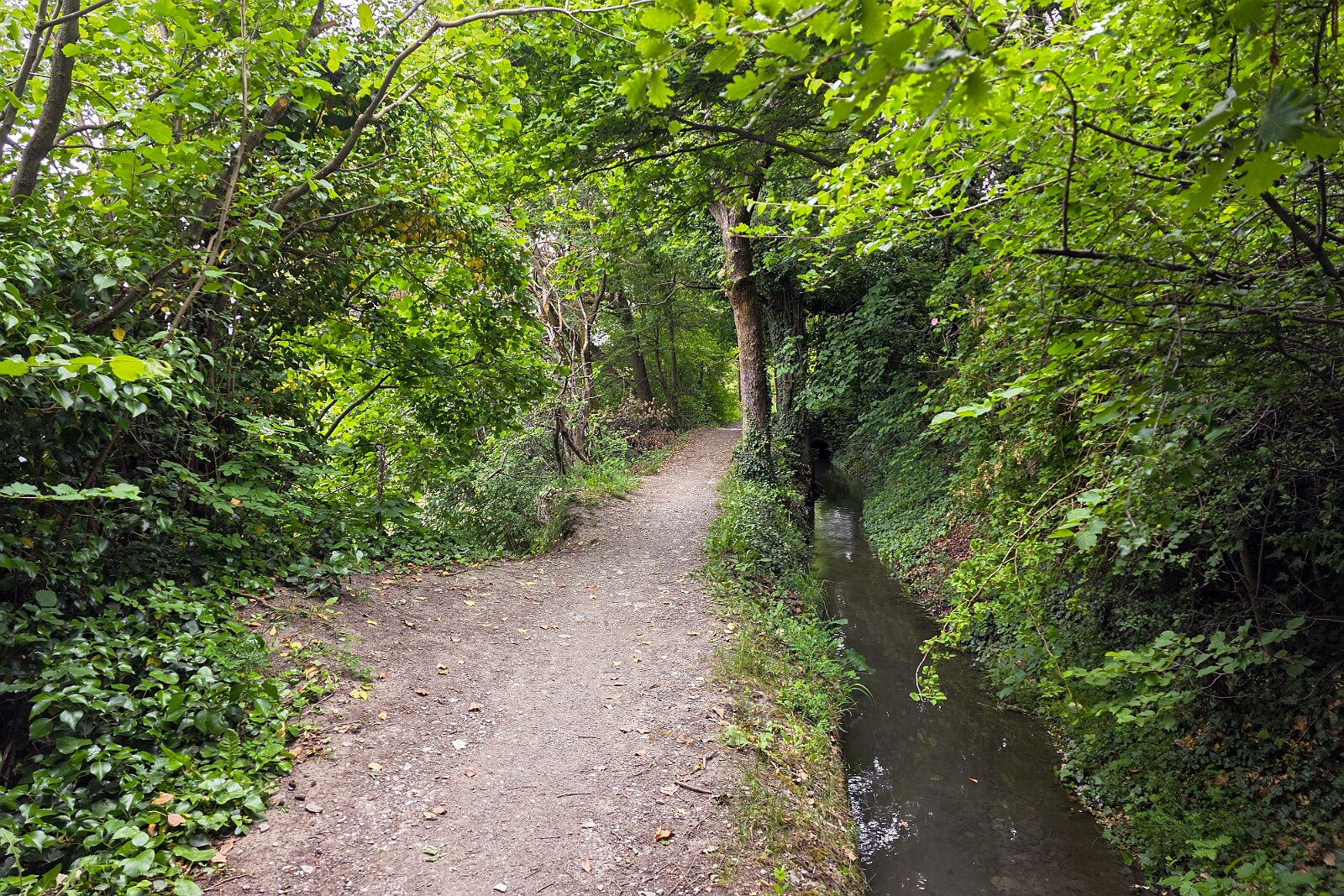 VSI.ASAI - Generalversammlung Mai 2025 