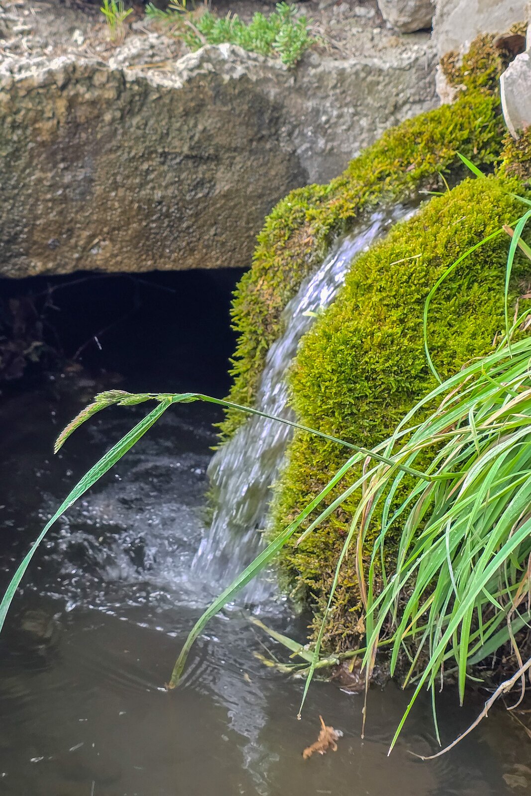 VSI.ASAI - Generalversammlung Mai 2025 