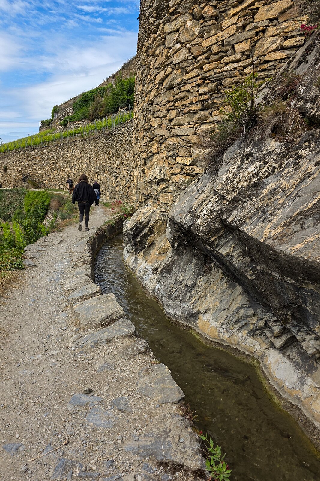 VSI.ASAI - Generalversammlung Mai 2025 