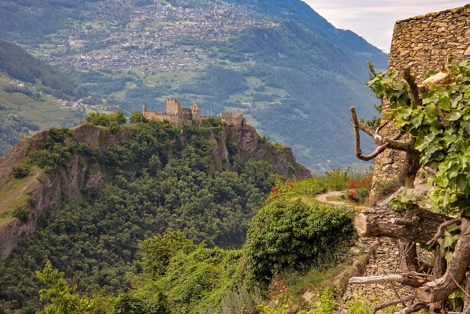 VSI.ASAI - Generalversammlung Mai 2025 