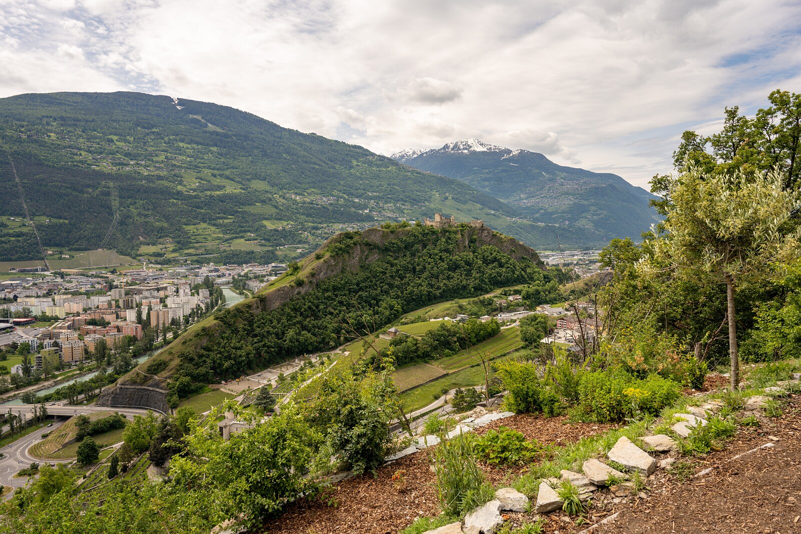 VSI.ASAI - Generalversammlung Mai 2025 