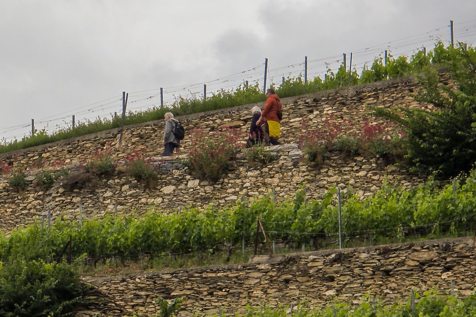 VSI.ASAI - Generalversammlung Mai 2025 