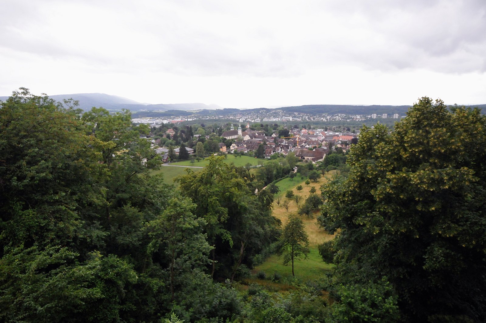 VSI.ASAI. Rahmenprogramm 19. Juni 2009 Besichtigung und Apéro im Schoss Birseck in Arlesheim.
