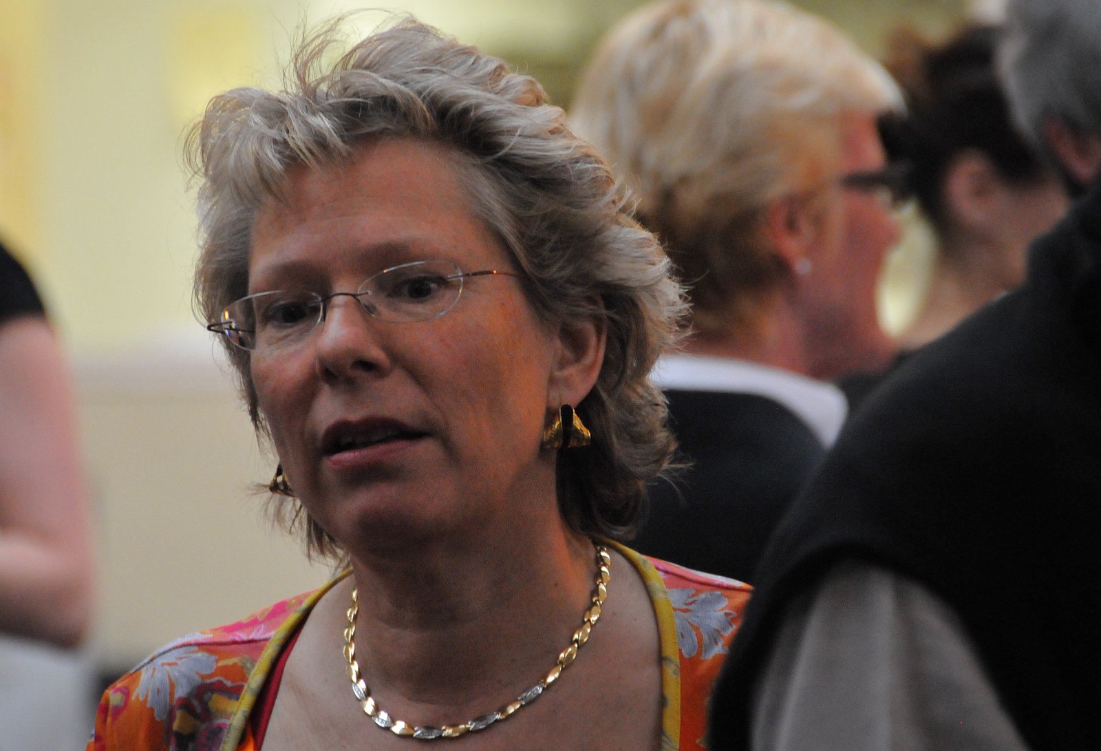 VSI.ASAI. Rahmenprogramm 19. Juni 2009 Gemeinsames Nachtessen im Restaurant eoipso in Basel