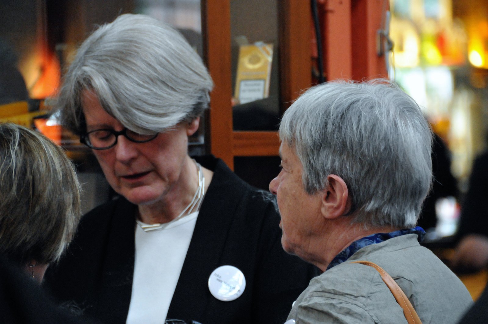 VSI.ASAI. Rahmenprogramm 19. Juni 2009 Gemeinsames Nachtessen im Restaurant eoipso in Basel