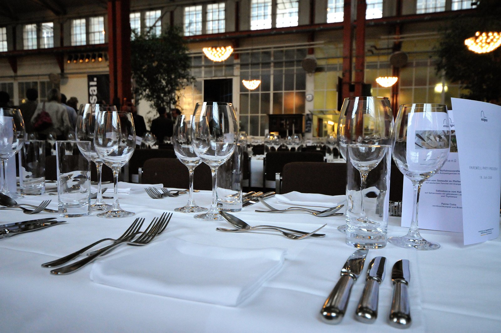 VSI.ASAI. Rahmenprogramm 19. Juni 2009 Gemeinsames Nachtessen im Restaurant eoipso in Basel