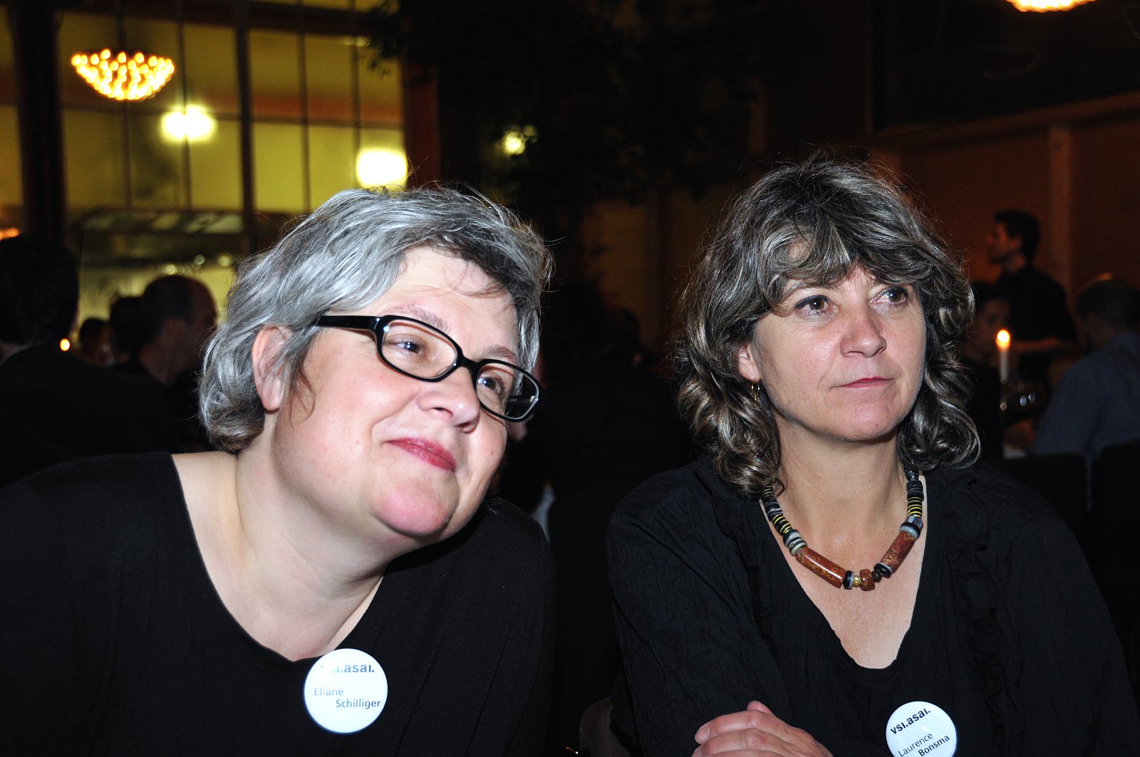 VSI.ASAI. Rahmenprogramm 19. Juni 2009 Gemeinsames Nachtessen im Restaurant eoipso in Basel