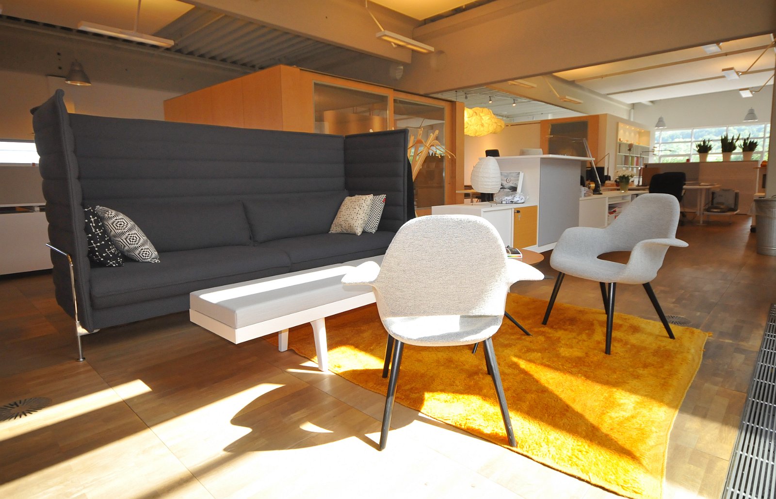 VSI.ASAI. GV 20. Juni 2009 Besichtigung des Vitra Areals in Weil Deutschland.