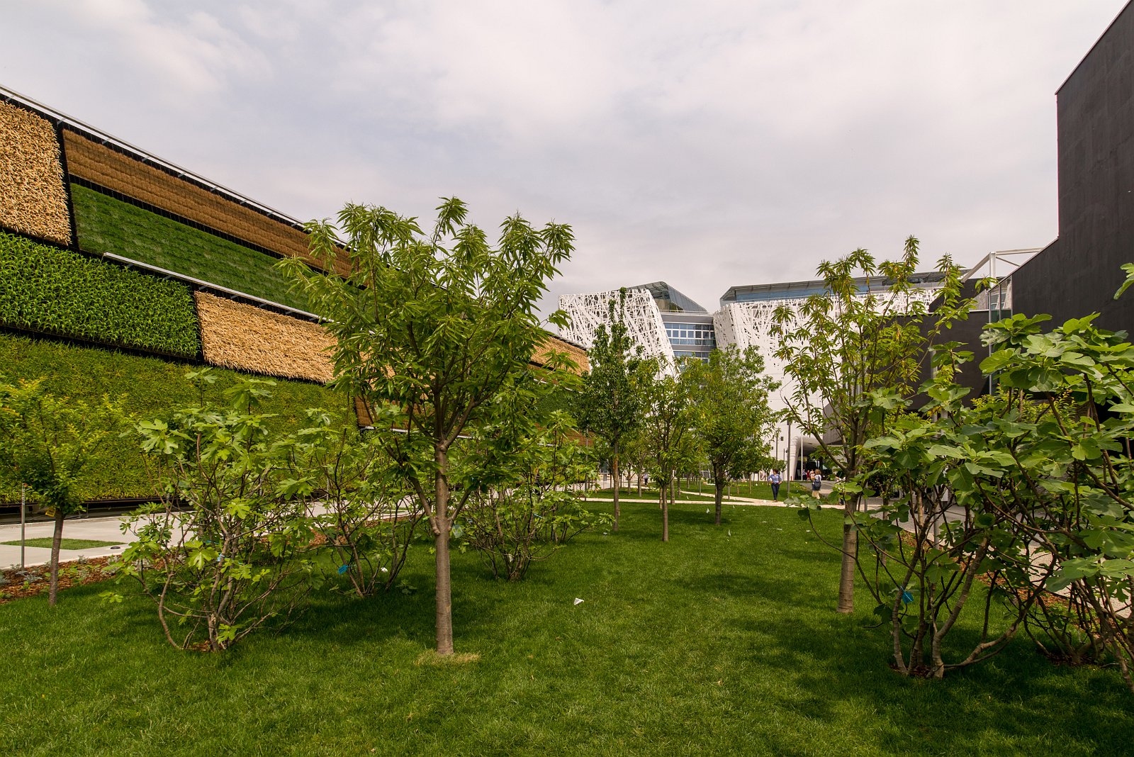 VSI.ASAI - GV Excursion 08.05.2015 | expo2015.org 