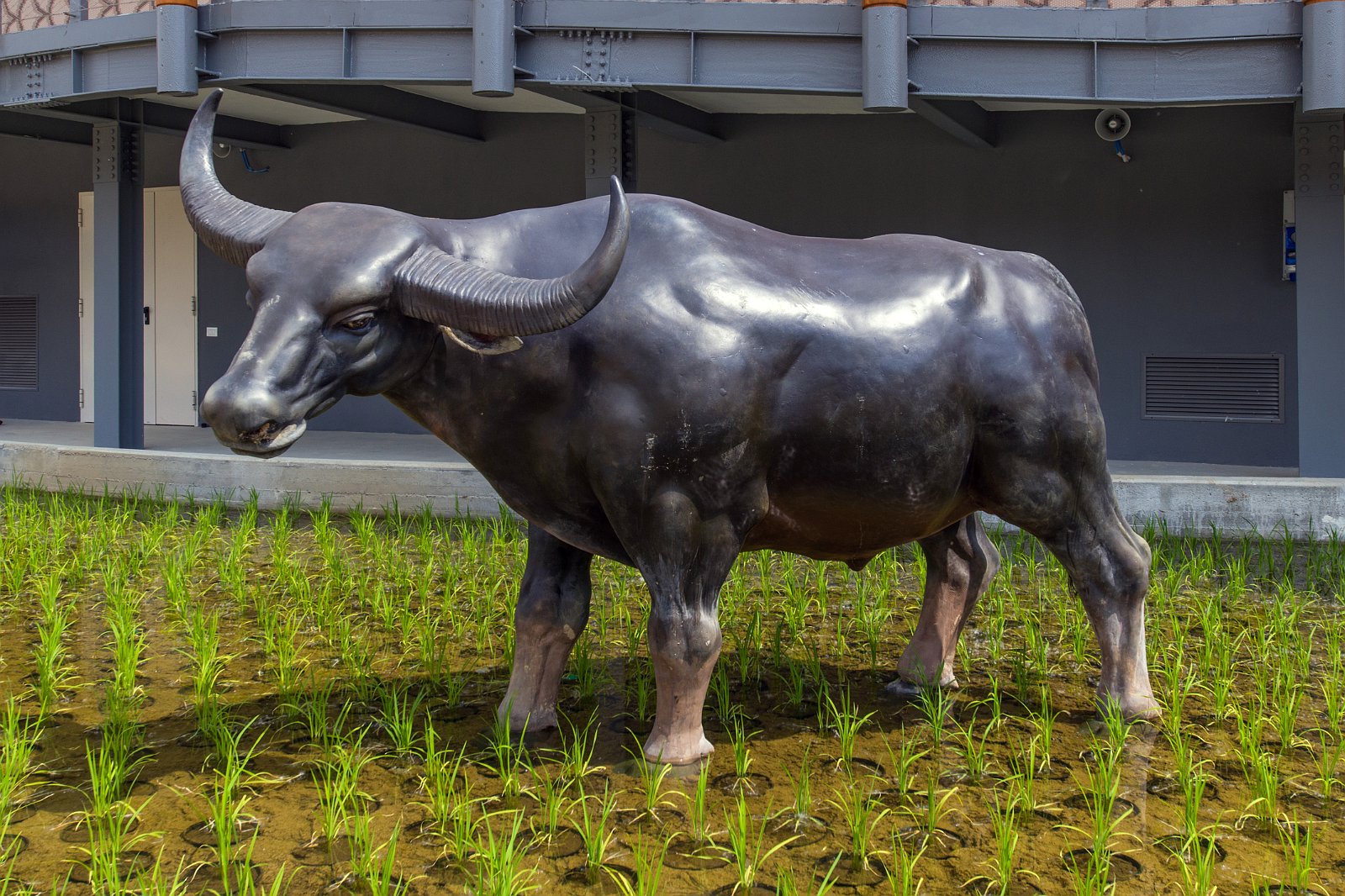 VSI.ASAI - GV Excursion 08.05.2015 | expo2015.org 