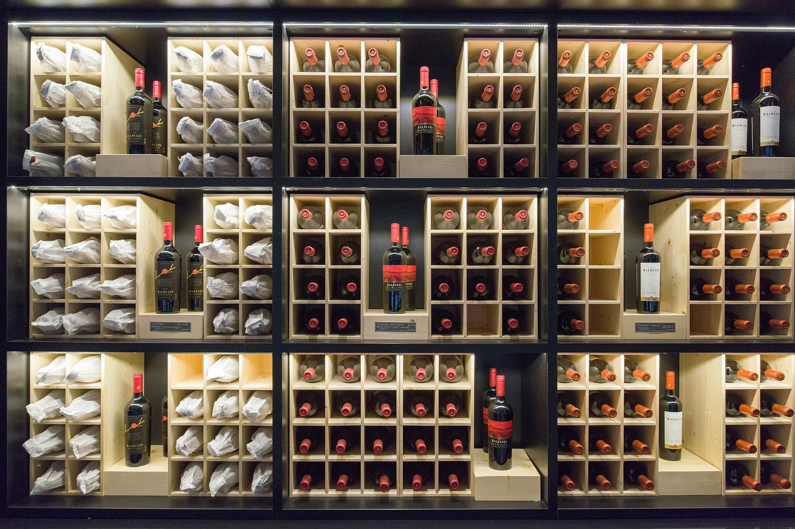 VSI.ASAI - GV Excursion 08.05.2015 | expo2015.org 